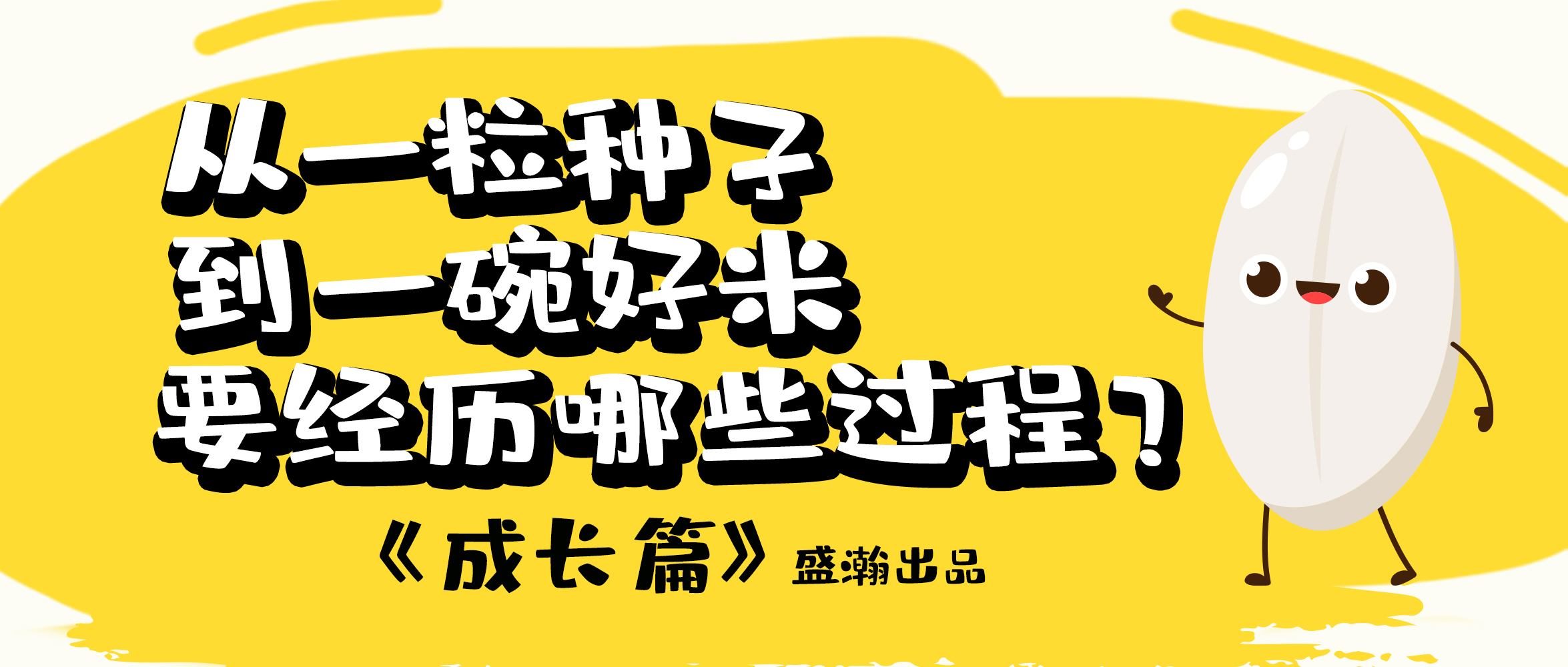 大米的一生-成長篇 | 從一粒種子到一碗好米要經(jīng)歷哪些過程？